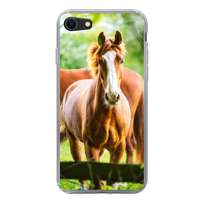 Produktbild von MuchoWow® Handyhülle Schutzhülle Hülle für iPhone SE 2020 Pferde - Licht - Wiese Silikon Softcase Handy Hülle - Kartenbesitzer