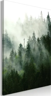 Produktbild von Modernes Wandbild Wald Nebel 60x90 - 1 Teile Bilder Fotografie auf Vlies Leinwand Foto Bild Dekoration Wand Bilder Kunstdruck Bäume grün Natur c-B-0394-b-a