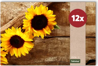 Immagine prodotto di Set di 12 tovagliette lavabili con girasoli estivi