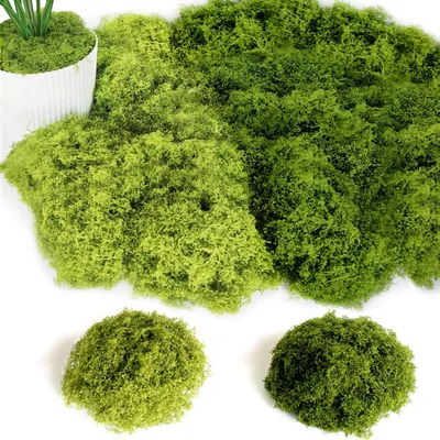 Produktbild von 200 g künstliches Moos zur Dekoration, künstliches Moos zum Basteln, künstliches Dekomoos, Bastelmoos für Wände, Krippen, Aquarien, Modellbau (dunkelgrün + hellgrün)