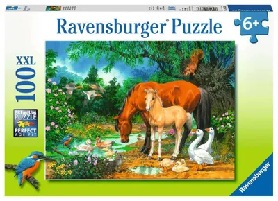Produktbild von Idylle am Teich Ravensburger 10833