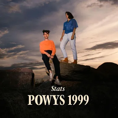 Immagine prodotto di Statistiche - Powys 1999 Vinile