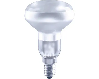 Obrázek produktu pro LED žárovka FLAIR R50 E14 / 2,2 W ( 18 W ) 170 lm 6500 K matná stmívatelná