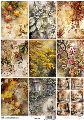 Immagine prodotto di Set di etichette Scrapbooking 0303 - Autunno