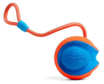Produktbild von Chuckit! CH 32220 Rope Fetch