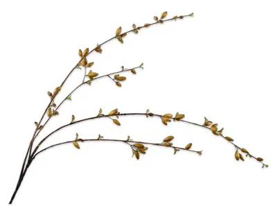 Produktbild von Silk-ka Kunstblume – Seidenblumen-Hagebuttenzweig, Bordeauxbraun, 121 cm