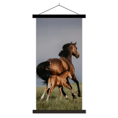 Produktbild von MuchoWow® Textilposter Tiere - Pferde - Fohlen 60x120 cm mit schwarzem Rahmen - Magnete