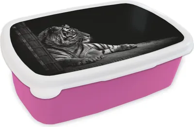 Produktbild von KitchenYeah® Lunchbox Brotzeit Brotdose 17x11 cm Tiger - Tiere - Schwarz - Weiß Kinder Brotzeitdose - Lunchpaket - Brotkasten  - Sandwich Box