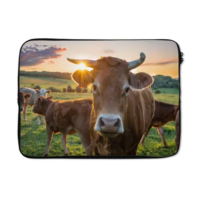 Produktbild von MuchoWow® Laptop Hülle 13 Zoll Kühe - Sonne - Wiese - Landleben Laptoptasche - Laptophülle - Sleeve - Rundumschutz