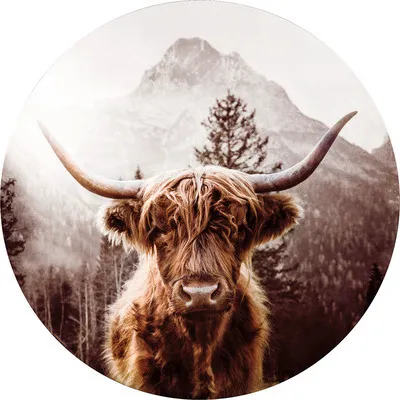 Produktbild von Glasbild Scottish Highland Cattle I Ø 20 cm