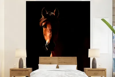 Produktbild von MuchoWow® Fototapete für Wohnzimmer oder Schlafzimmer Wandtapete Vinyl Motivtapete Pferd - Licht - Porträt - 225x280 cm - Wohnzimmer tapete