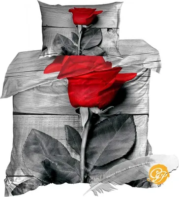 Produktbild von 3D-Bettwäsche aus Baumwollsatin, 140 x 200 cm, Rose