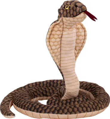A stuffed toy cobra snake coiled on a white background.