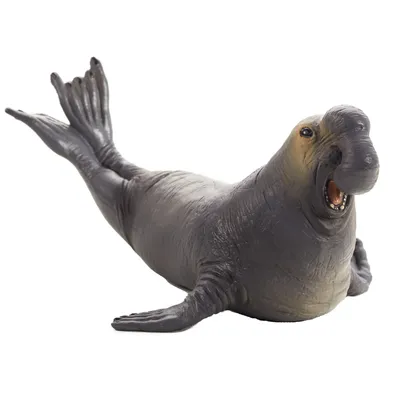 Produktbild von Mojo Fun Sea Elephant (Portugal), 3 Jahr(e), SEALIFE, Grau, Weiß, Polyvinylchlorid (PVC)