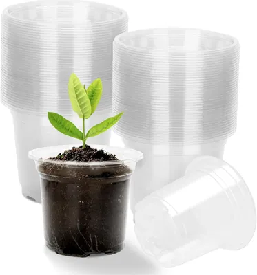 Imagen del producto de Macetas transparentes, de 10 cm, paquete de 36 unidades, ideales para esquejes y hierbas