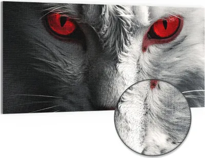 Produktbild von DEQORI Hybrid Leinwand Bild 100x50 cm 'Mystischer Blick' Wandbild Glas flach modern