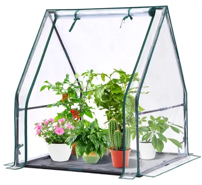 Produktbild von Tragbares Mini-Gewächshaus für Pflanzen