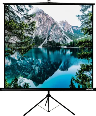 A projection screen with a landscape image displayed on it, set up on a tripod stand.