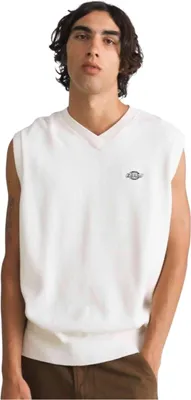 Image de Débardeur Dickies DK0A87OYC481-2FW5 pour Homme