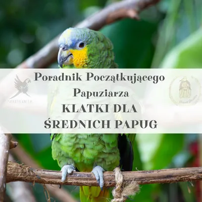 Produktbild von ParrotPlanet-Ratgeber – Ein Leitfaden für Papageienbesitzer – Käfige für mittelgroße Papageien