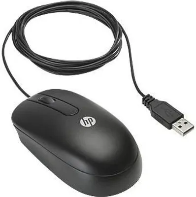 Zdjęcie produktu dla HP USB Optical Scroll Mouse, Oburęczny, Optyczny, USB Typu-A, 800 DPI, Czarny