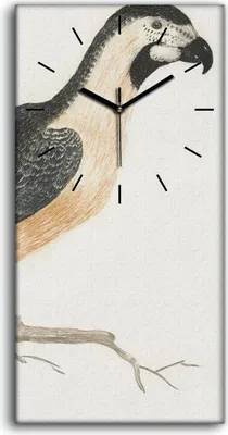 Produktbild von Wandkunst Leinwand Bild Uhr Geräuschlos 30x60 Zeichnung Tier Vogel Zweig Kunst - schwarze Hände