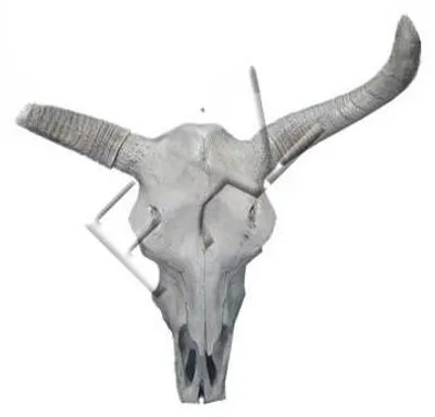 Produktbild von Design Figur Statue Skulptur Figuren Skulpturen Dekoration Deko Kopf Hörner Wand