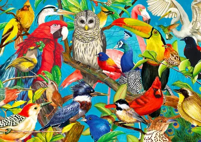 Produktbild von Enjoy Puzzle Puzzle Federn über Federn - 1000 Teile Puzzlespaß