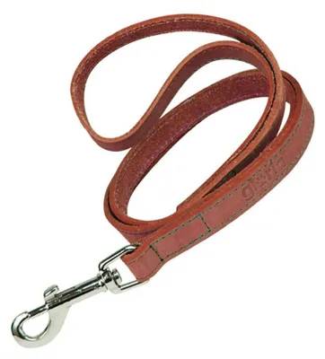 Imagen del producto de Correa para perro, modelo Gloria Oasis, color rojo, 3 unidades de 60 cm cada una