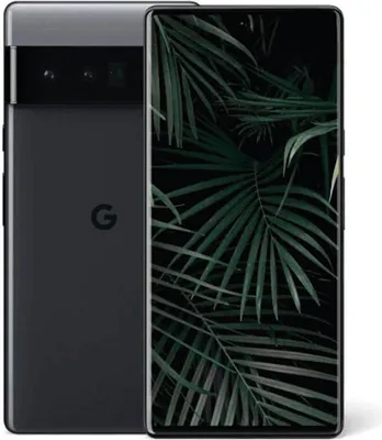 A Google Pixel 6 Pro smartphone shown from the back and front, displaying its camera array and screen with a tropical leaf wallpaper.