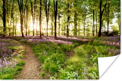 Produktbild von MuchoWow® Poster Blumen - Frühling - Vögel 120x80 cm - Bilder