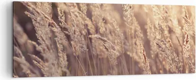 Produktbild von Bild auf Leinwand - Leinwandbild - Einteilig - Boho Ähren Feld - 140x50cm - Wand Bild - Wanddeko - Wandbilder - Leinwanddruck - Bilder - Wanddekoration - Leinwand bilder - Wandbild - AB140x50-4838