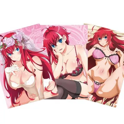 Image de Ensemble de pochettes de documents Sakami, Highschool DxD