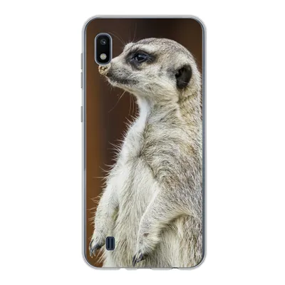 Produktbild von MuchoWow® Handyhülle Schutzhülle Hülle für Samsung Galaxy A10 Erdmännchen - Tier - Spiel Silikon Softcase Handy Hülle - Schutzhülle