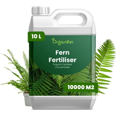 Produktbild von Farn Flüssigdünger 10L – 3-4-3 NPK - Flüssigdünger Für Farne – Für Gesunde Blätter & Üppiges Wachstum – Fördert Wurzeln & Vitalität – Organifer