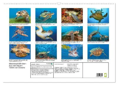Produktbild von Meeresschildkröten: Aus den blauen Tiefen der Ozeane (Wandkalender 2026 DIN A2 quer), CALVENDO Monatskalender
