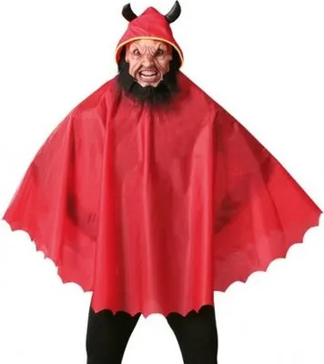 Produktbild von Teufel Party Poncho