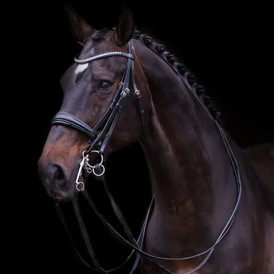 Image de Bridon Kandarenza Imperial Riding IRHFria Noir complet