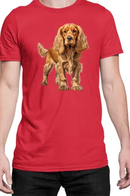 Zdjęcie produktu dla Męska Koszulka Dogs Breeds Cocker Spaniel Dog Breed 005, Man M / Czerwony