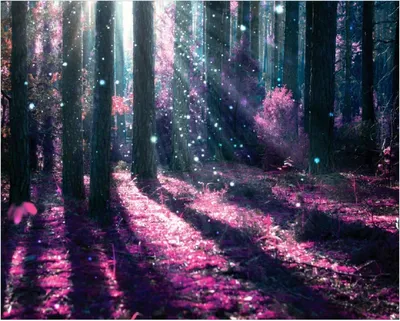 Produktbild von Wallario Poster - Fantasie im Wald - Pinke Blumen in der Sonne, Kunstdruck Größe: 40 x 50 cm