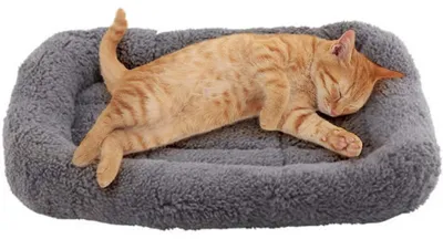 Produktbild von Katzenbett, Hundebett, weiches Katzenkissen, wärmende Plüschmatte für kleine Hunde/Katzen/Kaninchen