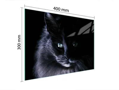 Produktbild von Schneidebrett Herdabdeckplatte Multiglasschneidplatte 40x30 cm Katze Schwarz