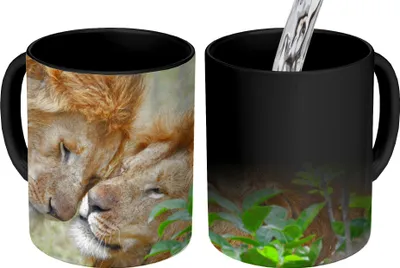 Obrázek produktu pro MuchoWow® Kouzelný pohár Lvi - tráva - zvířata 350 ml Barva měnící se pohár Dárkový nápad - foto hrnek