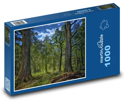 Obrázok produktu pre Puzzle 1000 Les Belovežská pušča - martinpuzzle