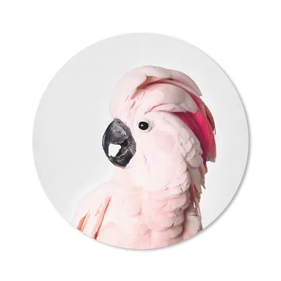 Produktbild von MuchoWow® Mauspad Mousepad Kakadu - Rosa - Tiere - Natur 50x50 cm - Mousepads - Maus Mat - Pad - Mausunterlage - Vinyl