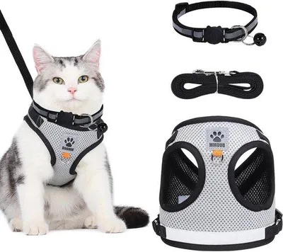 Produktbild von Verstellbares Katzenhalsband mit Anti-Entkommen und Reflektorstreifen