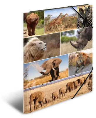 Immagine prodotto di HERMA 19222 Cartellina HERMA A3 Animali dell'Africa in cartoncino