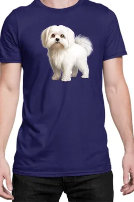 Immagine prodotto di Maglietta da uomo Dogs Breeds Maltese Dog Breed 005, Man S , Bleu foncé