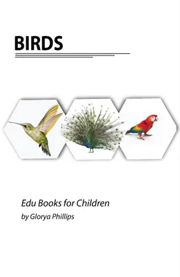 Image de Birds