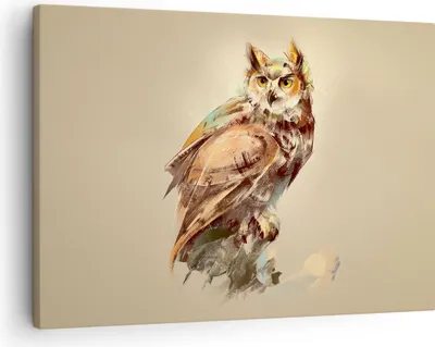 Produktbild von Bild auf Leinwand - Leinwandbild - Eule Vogel Natur - 70x50cm - Wand Bild - Wanddeko - Wandbilder - Leinwanddruck - Bilder - Kunstdruck - Wanddekoration - Leinwand bilder - Wandkunst - AA70x50-3856